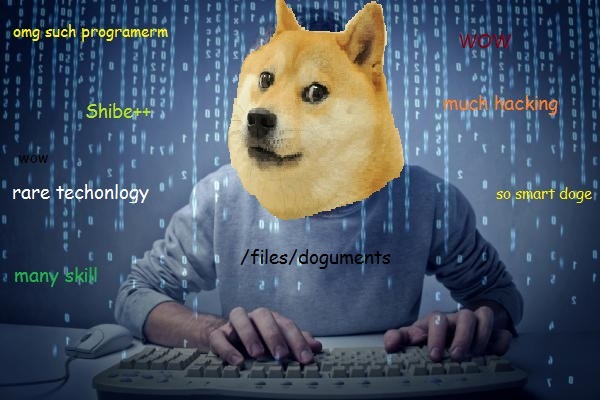 doge programmer